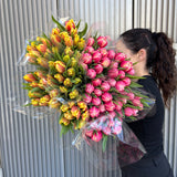 Tulips