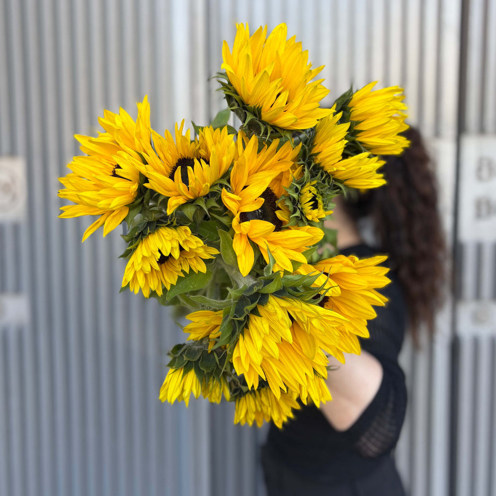 Sunflowers