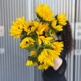 Sunflowers