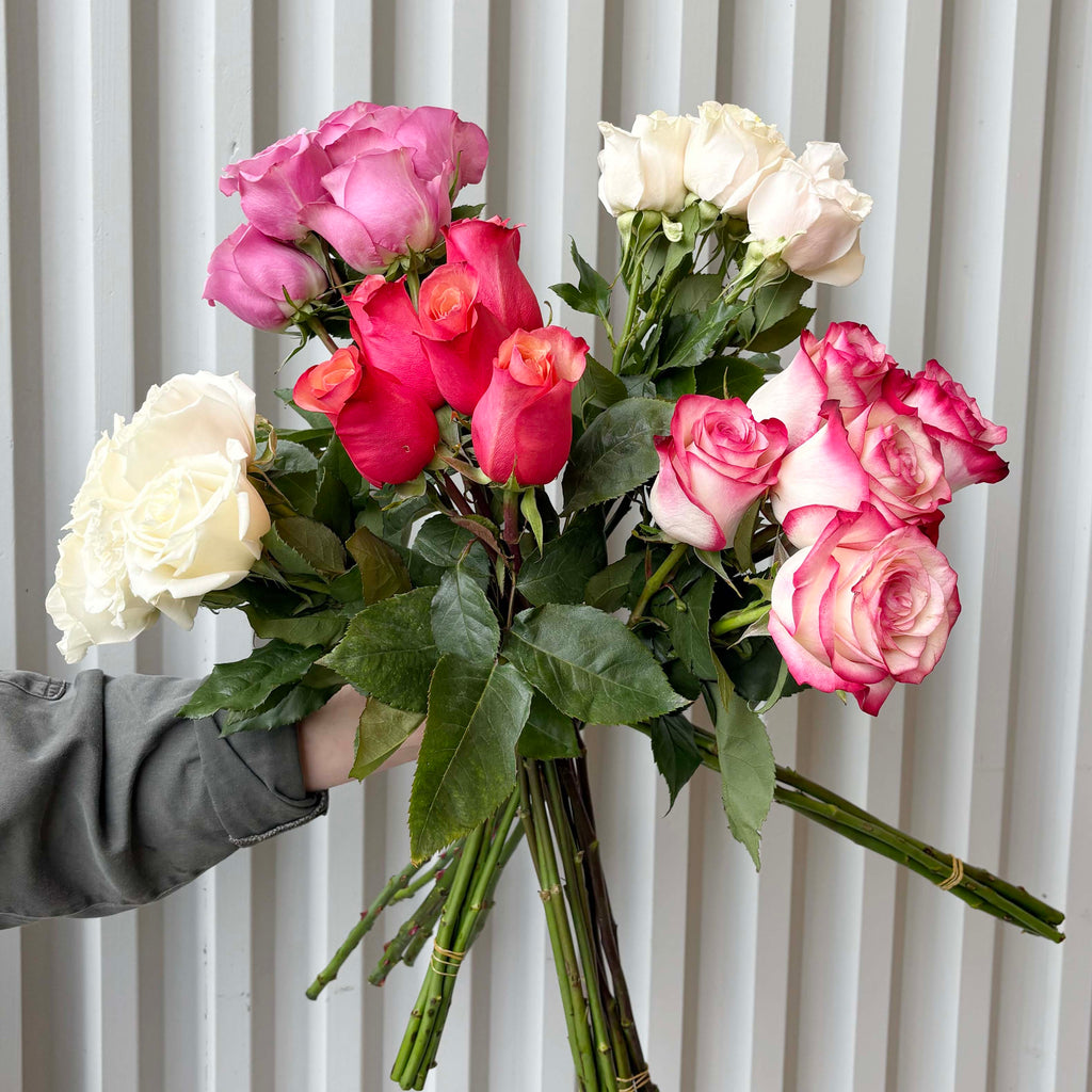 Ecuadorian Roses (5 stem bunch)