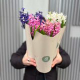 Hyacinth Plant pot