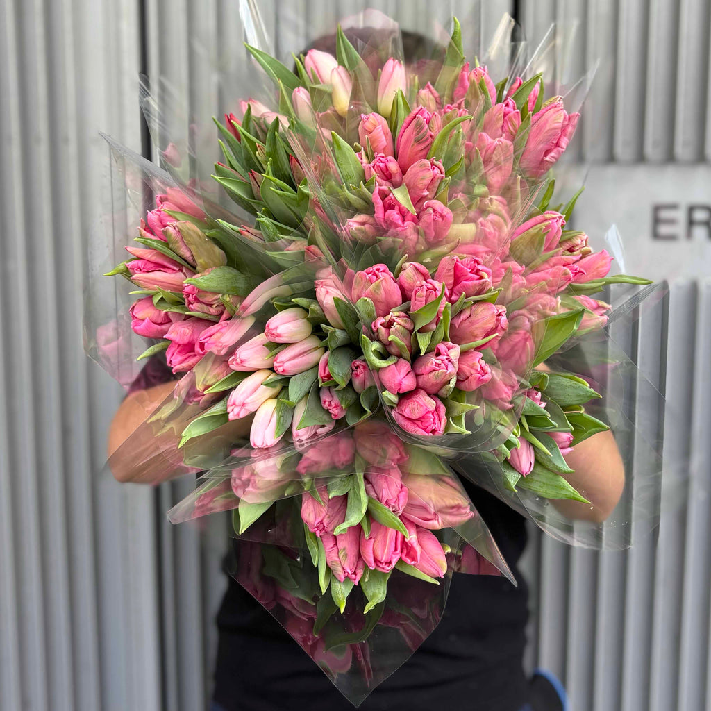 Tulips