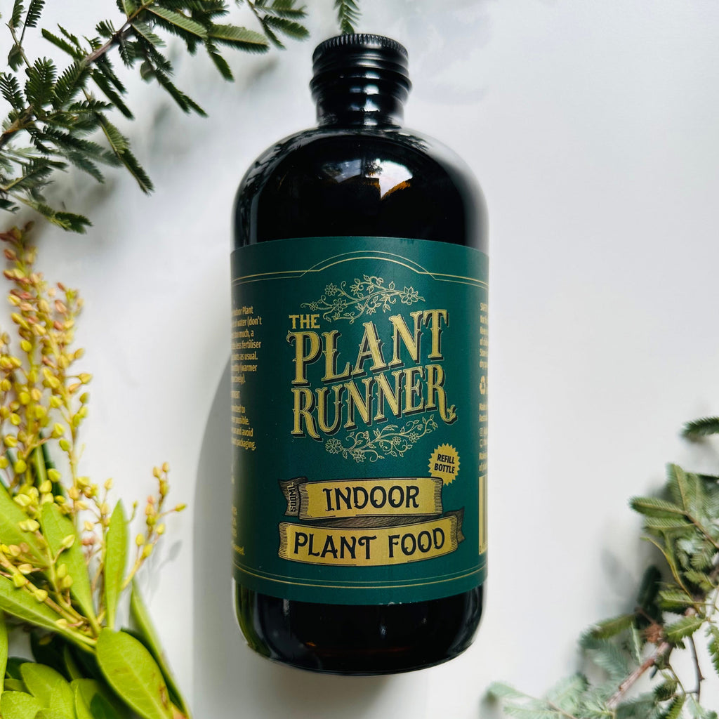 the plant runner indoor plant food The Plant Runner Plant Food – Flowers By Leaf